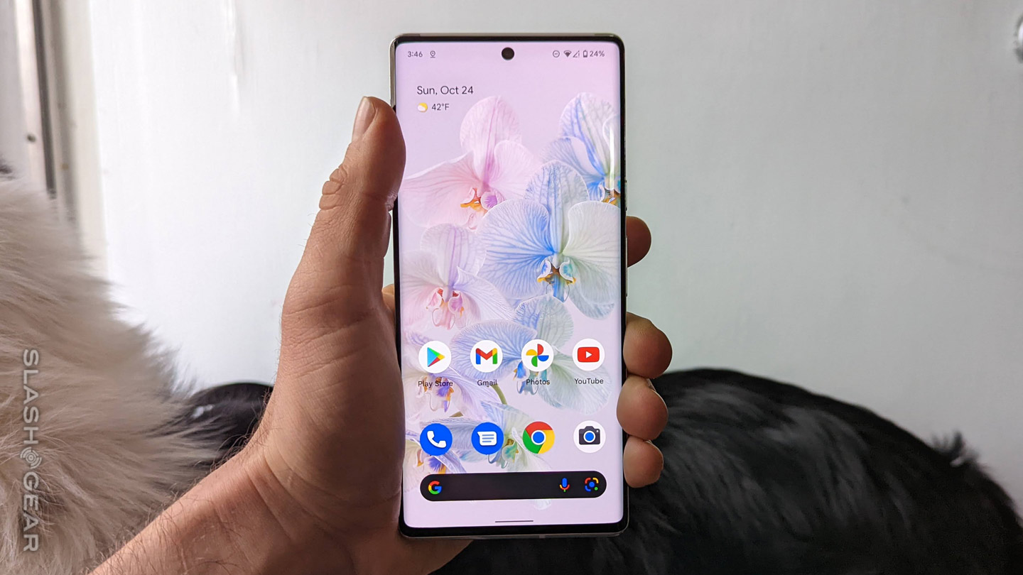 The Pixel 6 won’t be getting this missing Pro feature