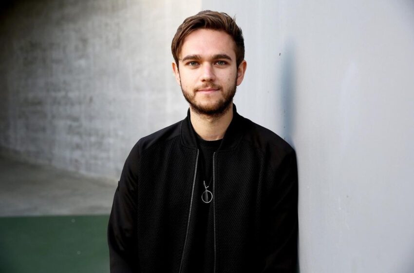  Zedd Net Worth