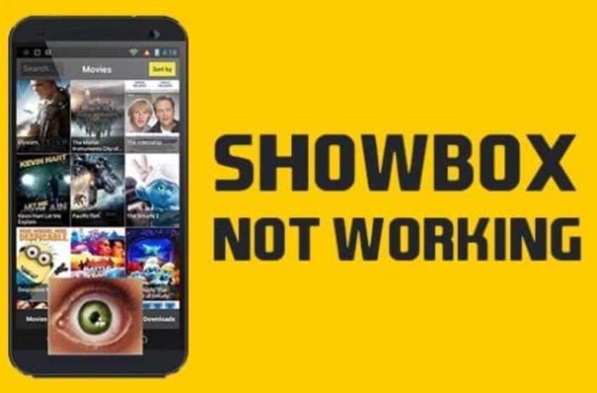  Solve Showbox app issues and enjoy movies and Tv shows hassle-free