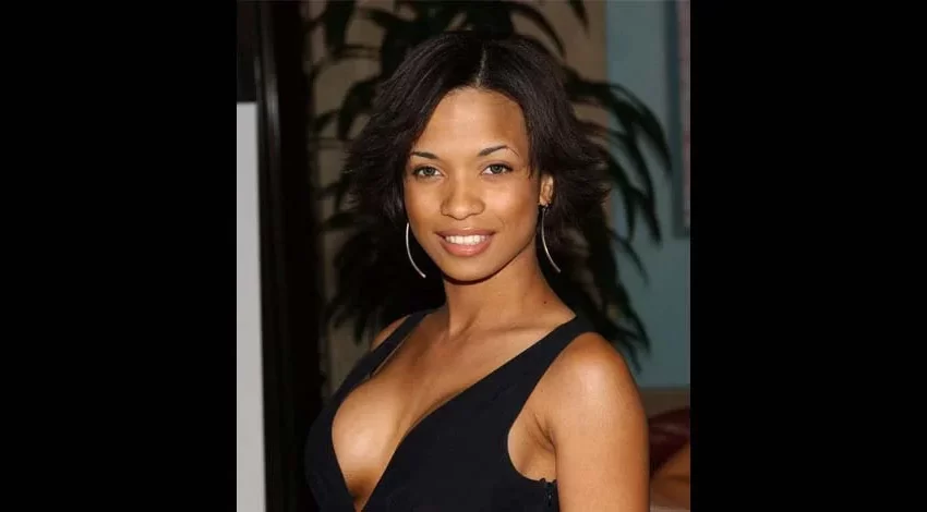  Karrine Steffans Net Worth 2022