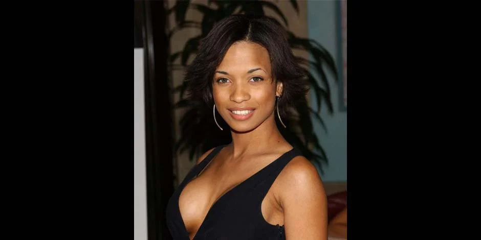 Karrine Steffans Net Worth 2022